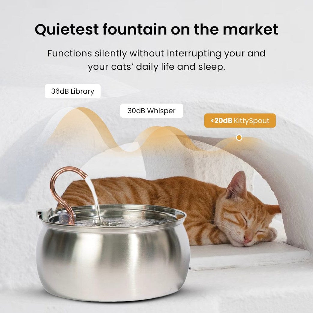 KittySpout Value Bundle
