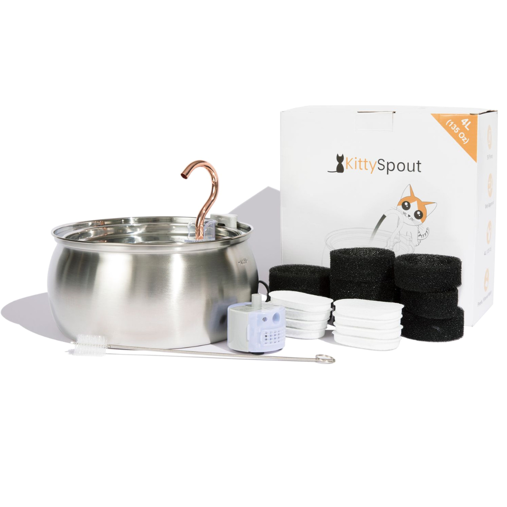 Hydration & Health Bundle