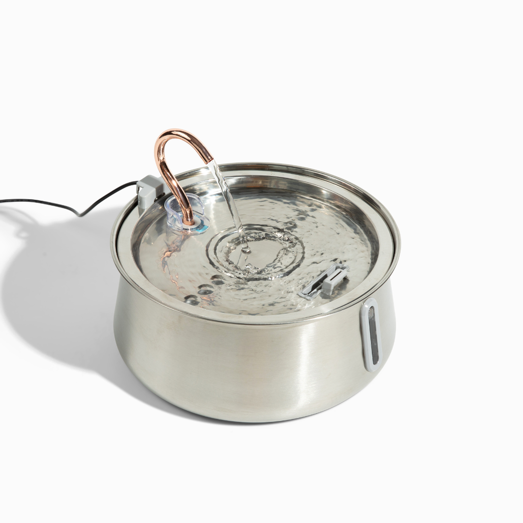 The KittySpout™ 2.0 - Health & Happiness Cat Kit