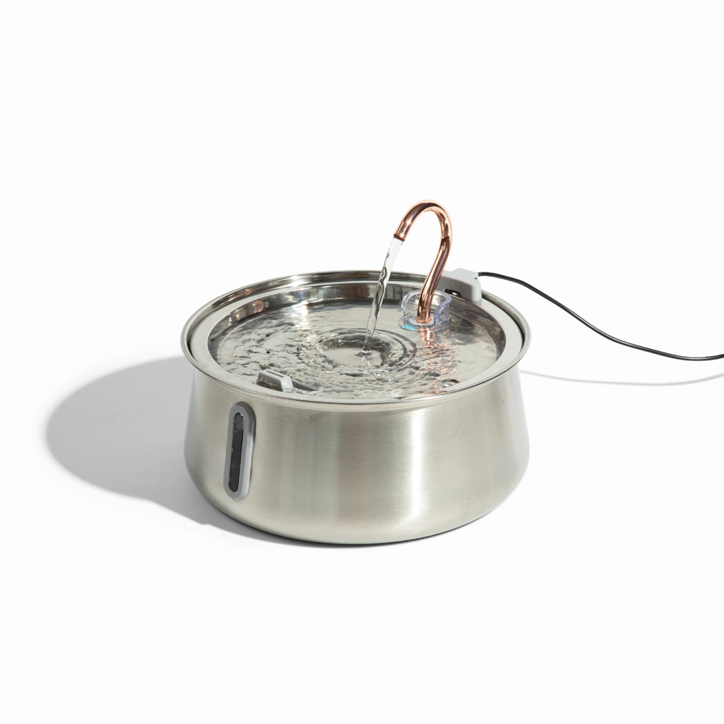 The KittySpout™ 2.0 - Health & Happiness Cat Kit