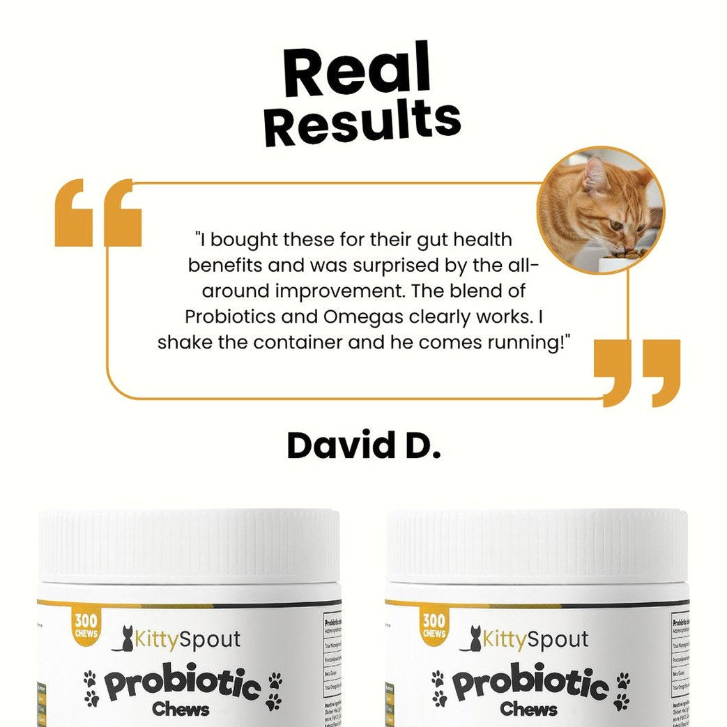 Probiotic Chews For Cats