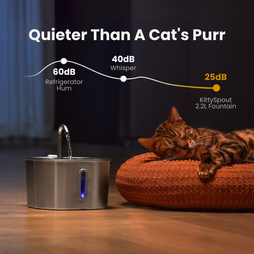 The KittySpout™ - 2.2L Big Cat Family Bundle