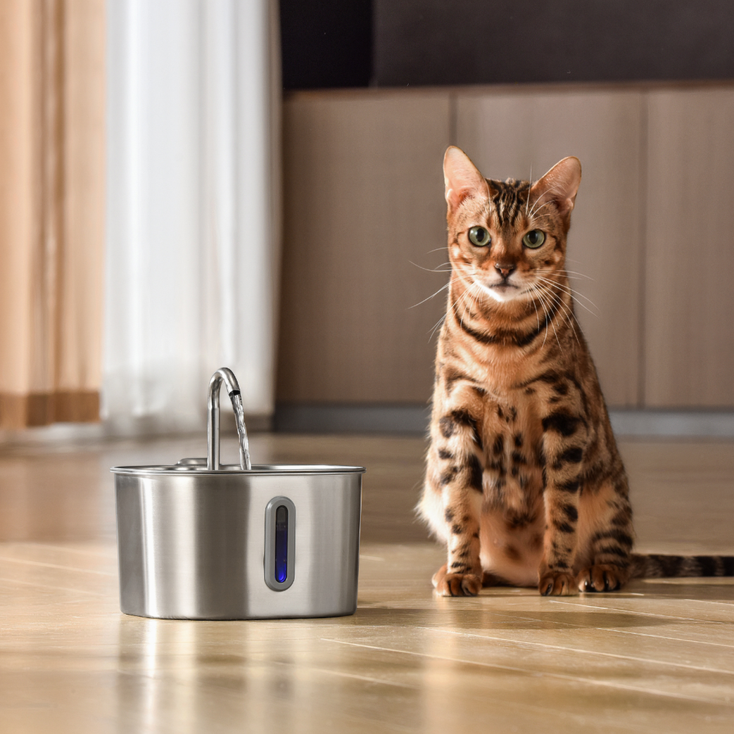 The KittySpout™ - 2.2L Value Bundle