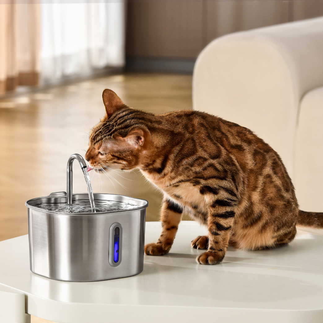 The KittySpout™ - 2.2L VIP Value Bundle