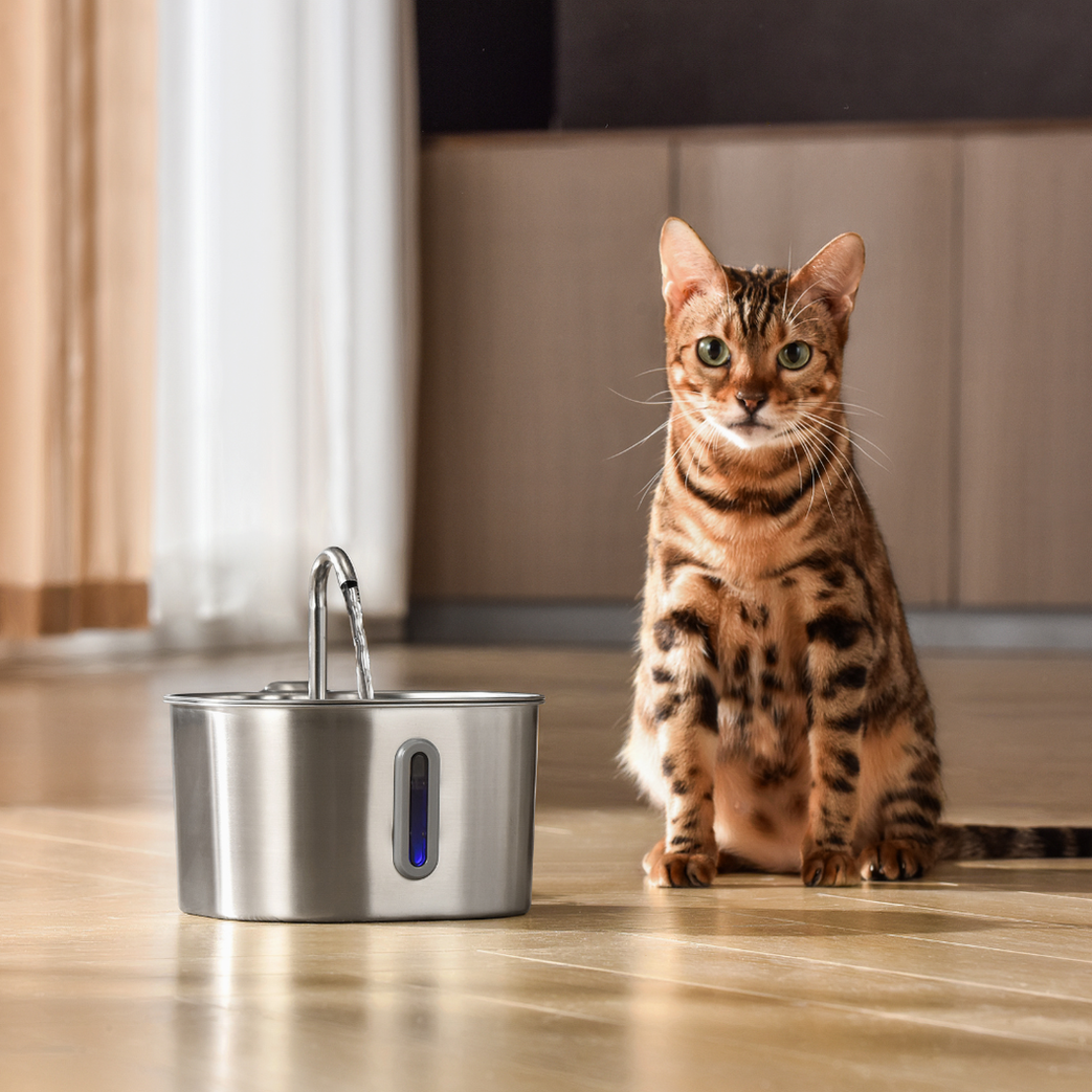 The KittySpout™ - 2.2L VIP Value Bundle
