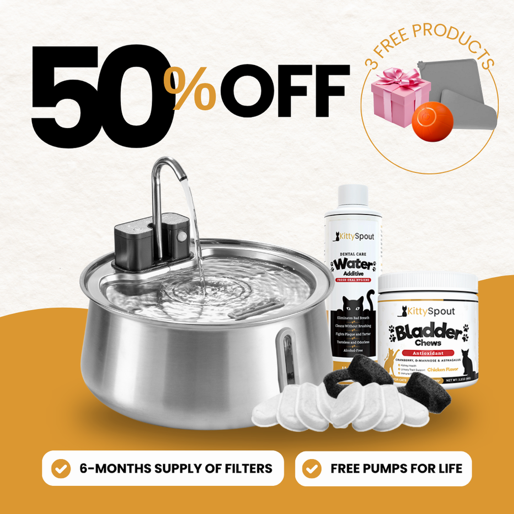 Wireless 2.0 Hydration & Health Bundle