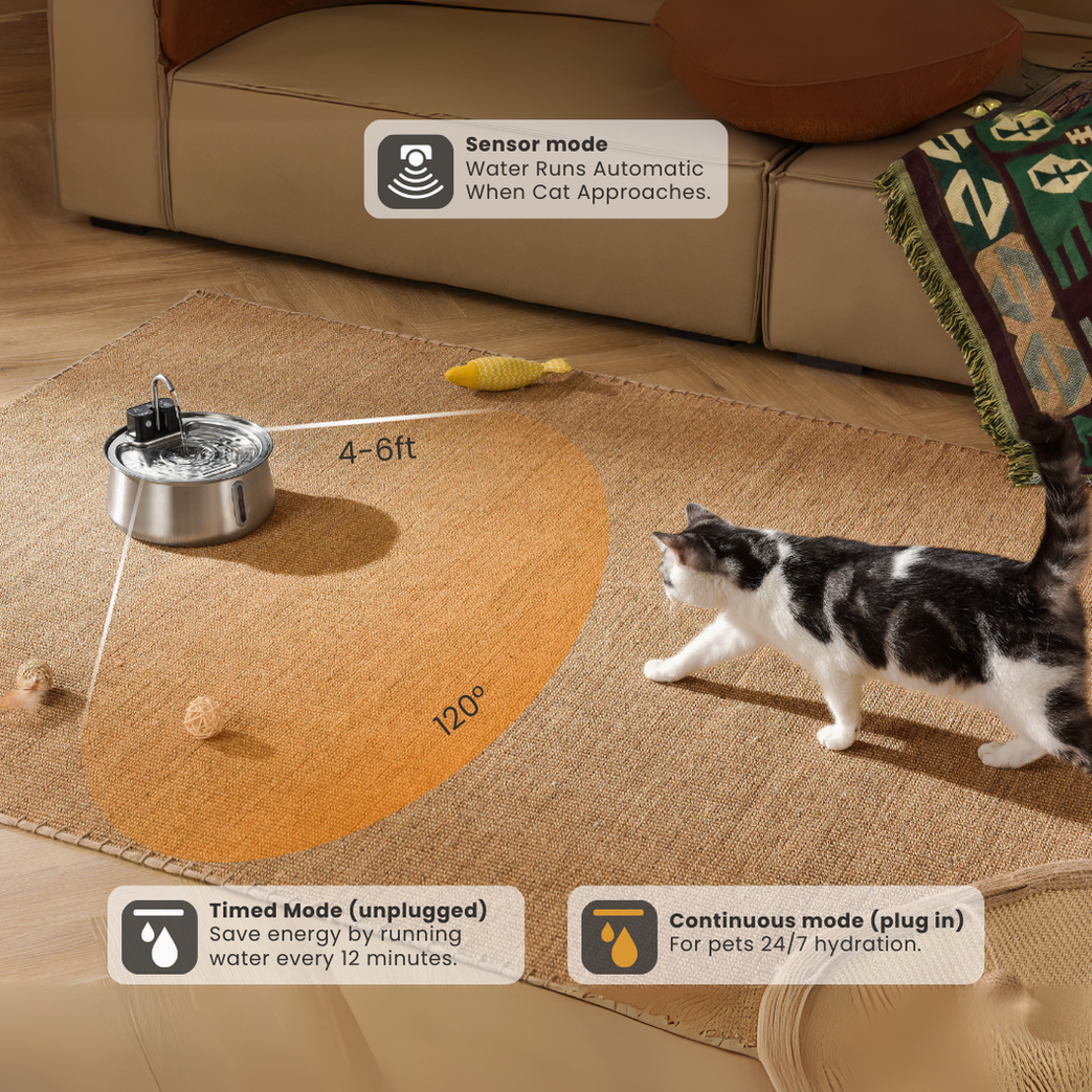 Wireless 2.0 KittySpout Value Bundle