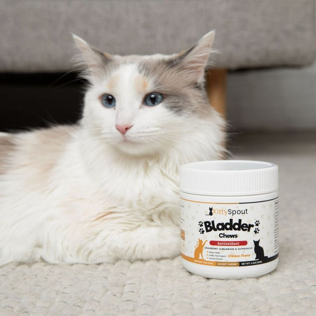 Bladder & Kidney Support Chews