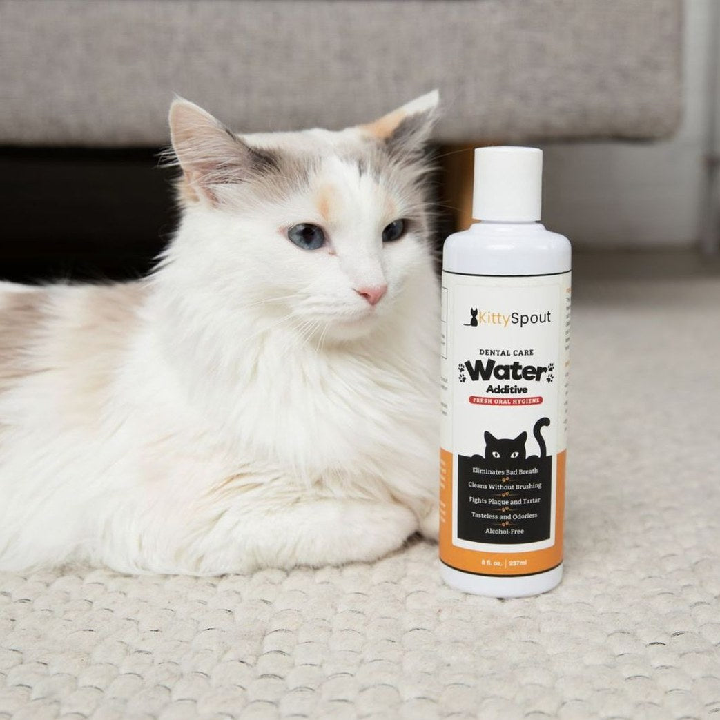 Dental Care Water Additive