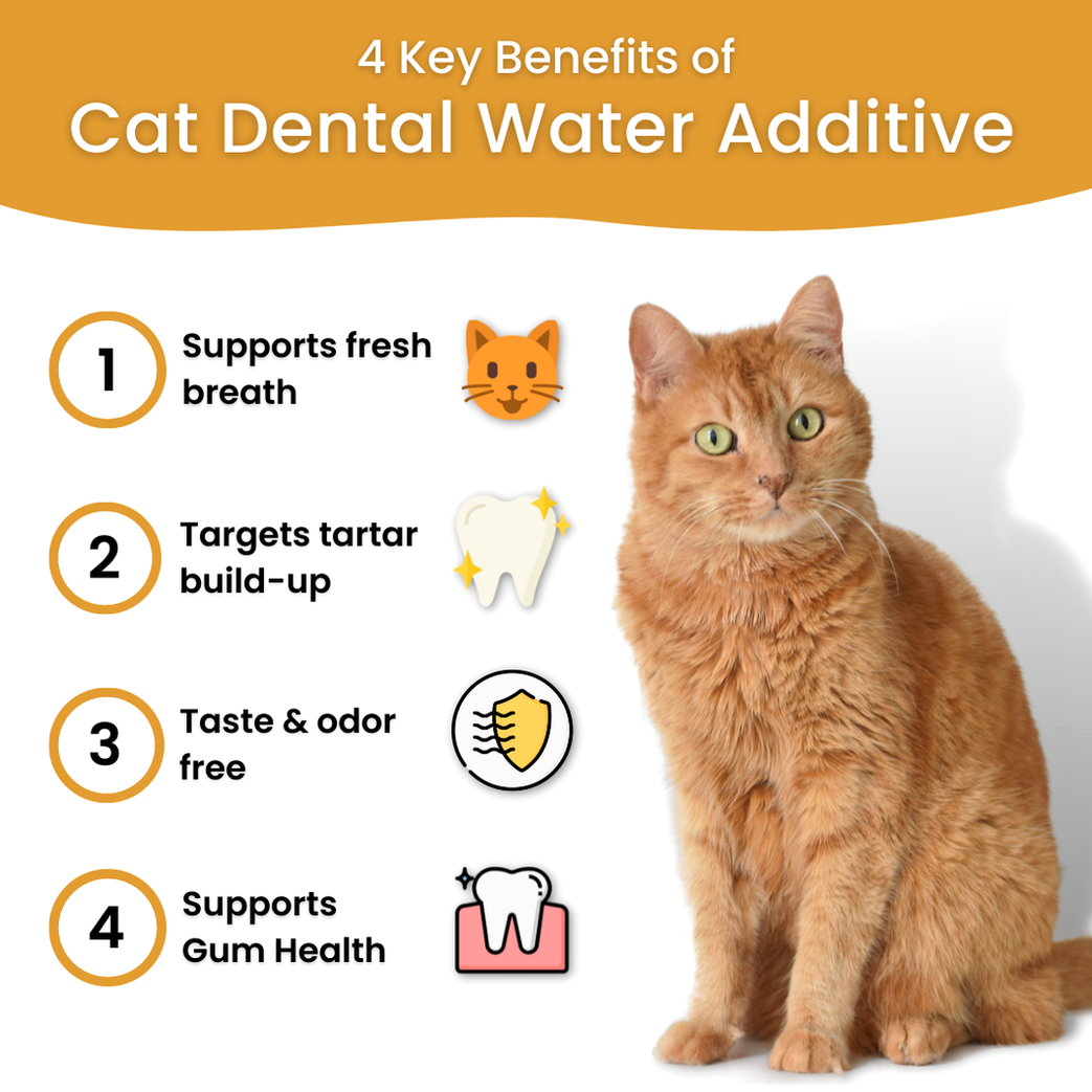 Dental Care Water Additive