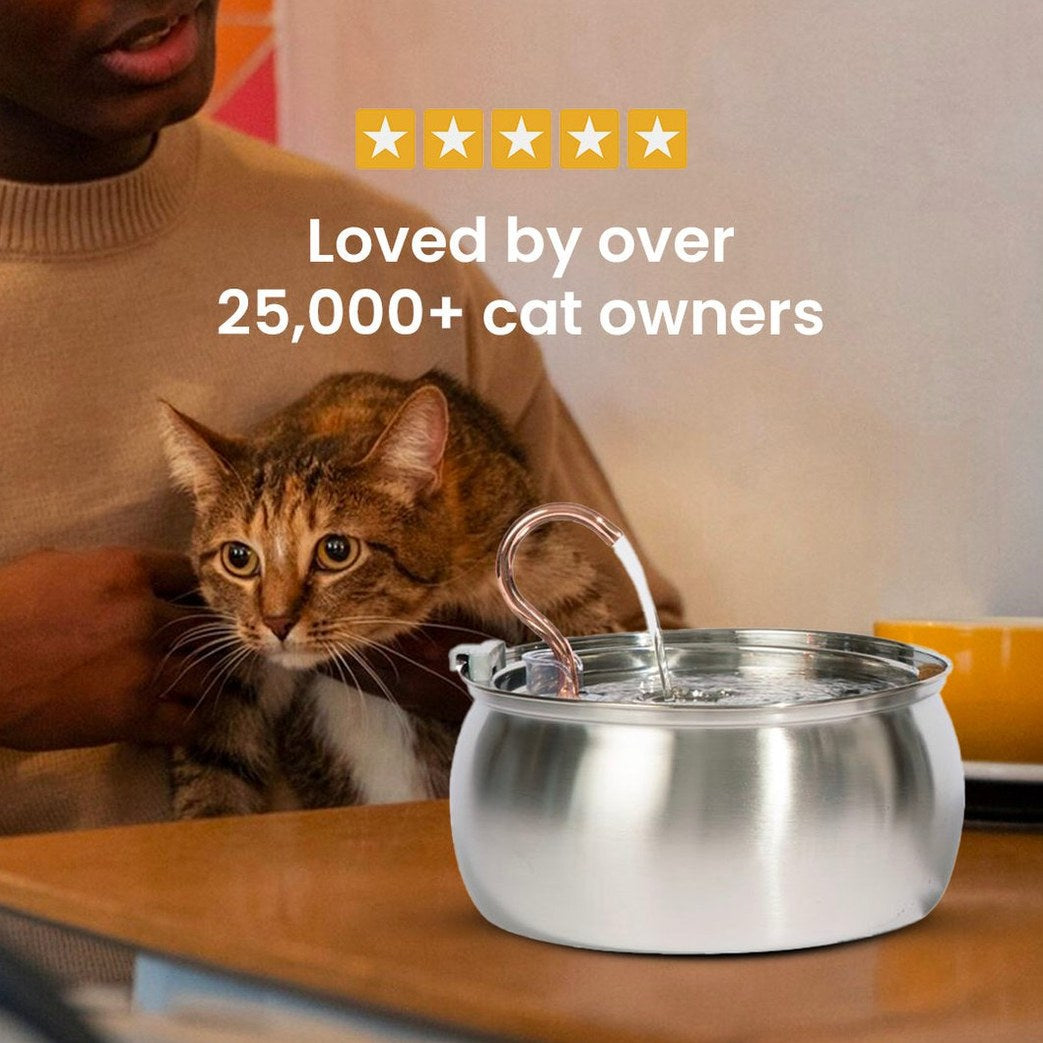 The Purrr-fect KittySpout Kit