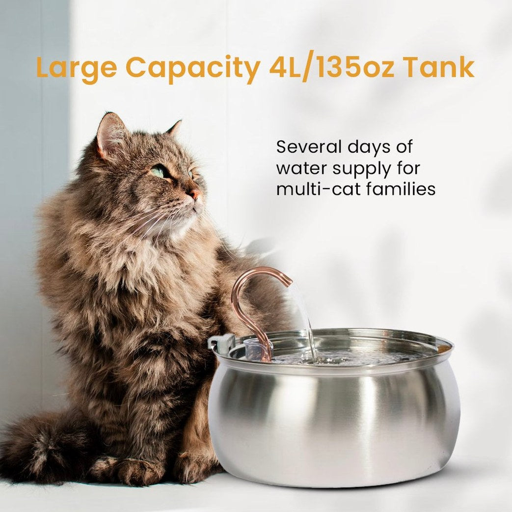 The Purrr-fect KittySpout Kit