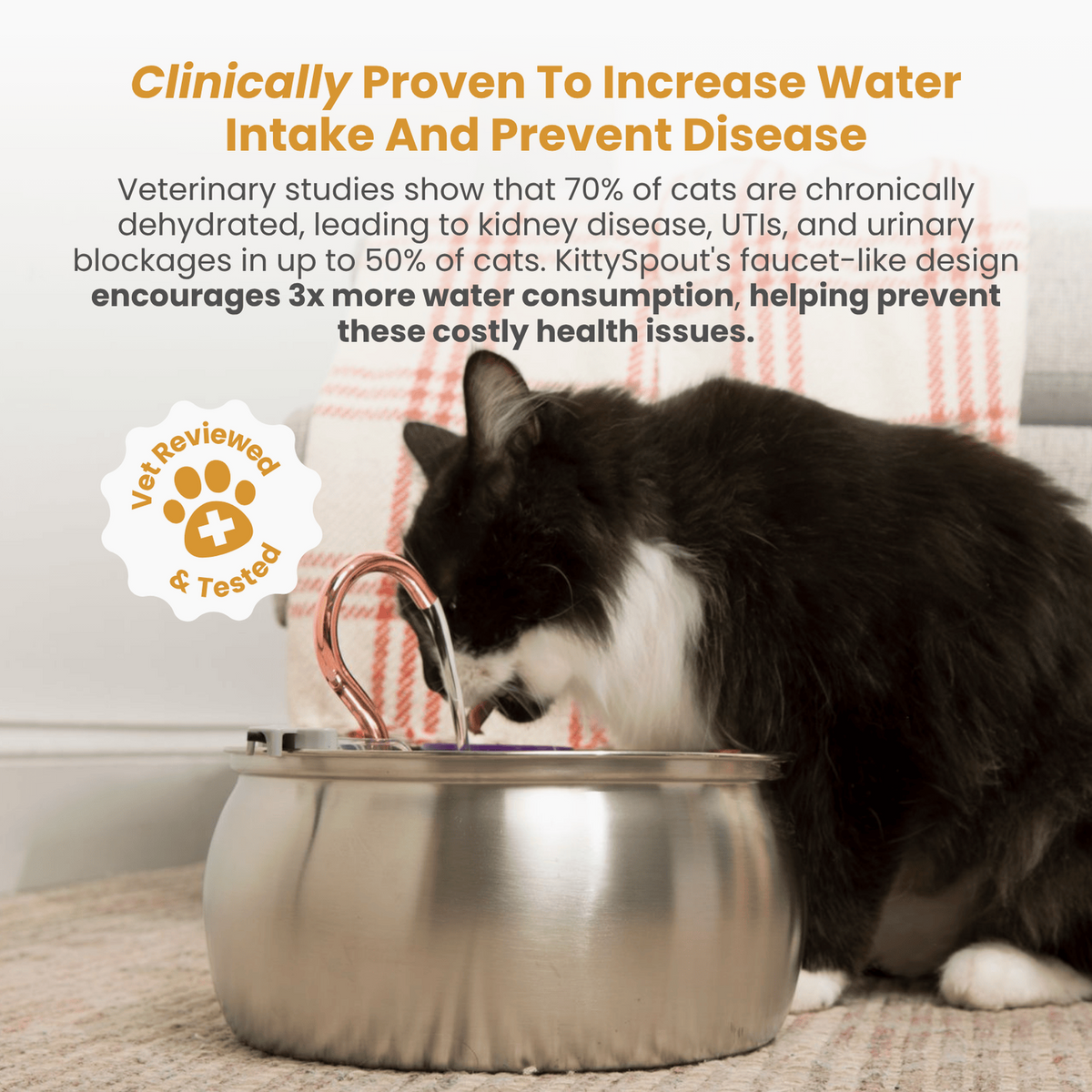 Hydration & Health Bundle