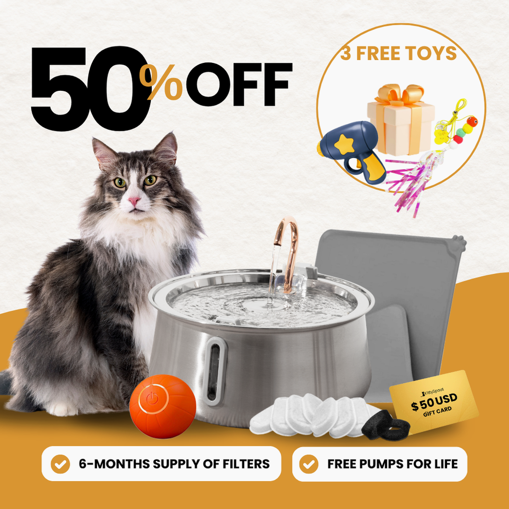 Hydration & Playtime Value Bundle