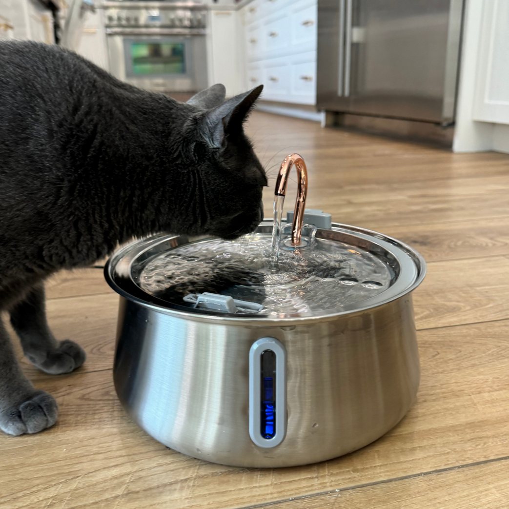 The KittySpout™ 2.0 - Health & Happiness Cat Kit