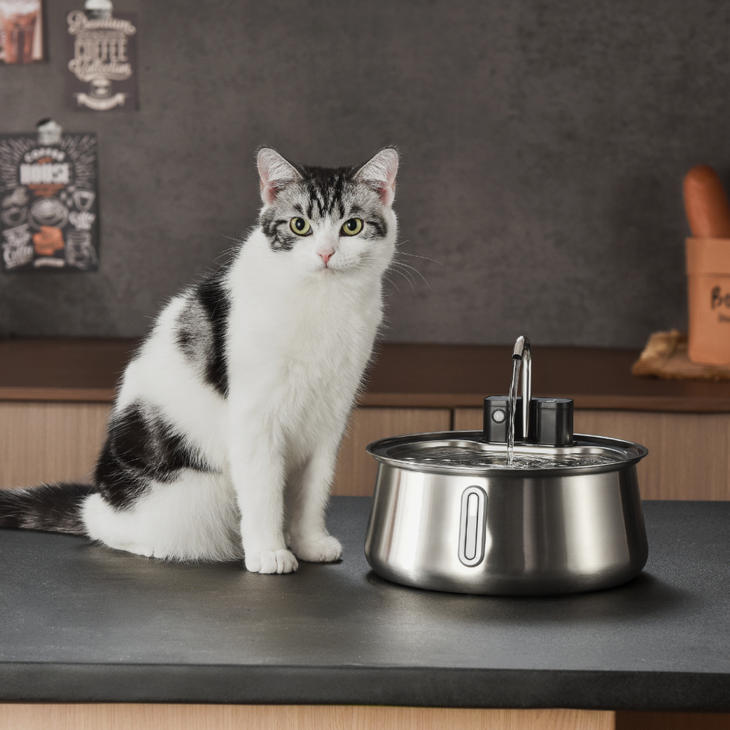 KittySpout™ - Water Pump for Wireless Fountain 2.0