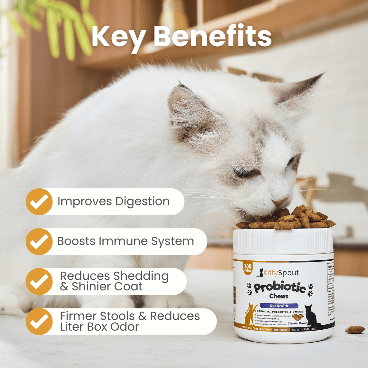 Probiotic Chews For Cats