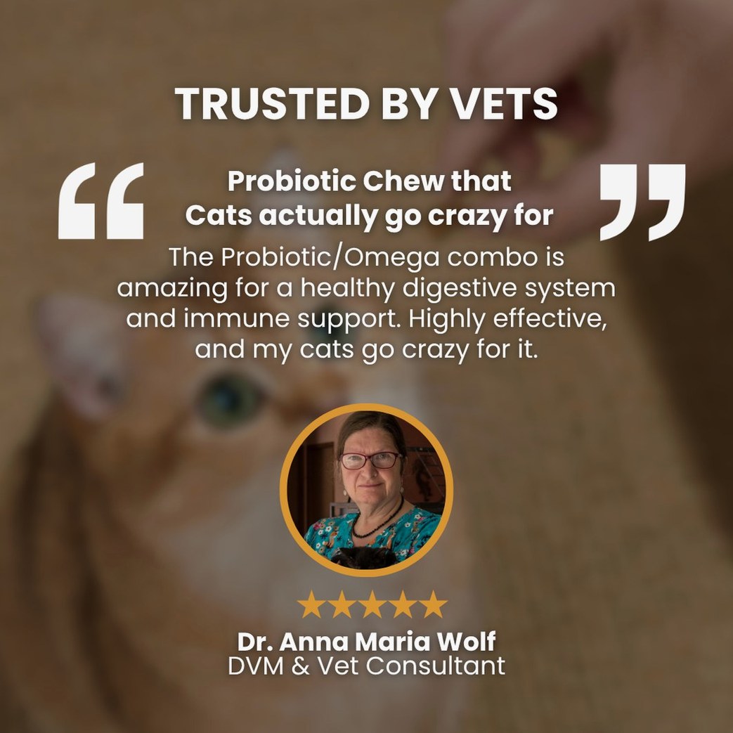 Probiotic Chews For Cats