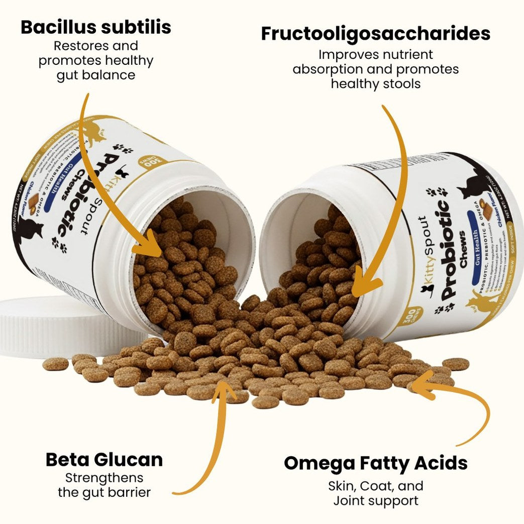 Probiotic Chews For Cats