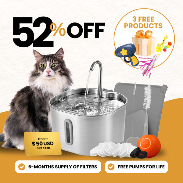The KittySpout™ - 2.2L Hydration & Playtime Value Bundle