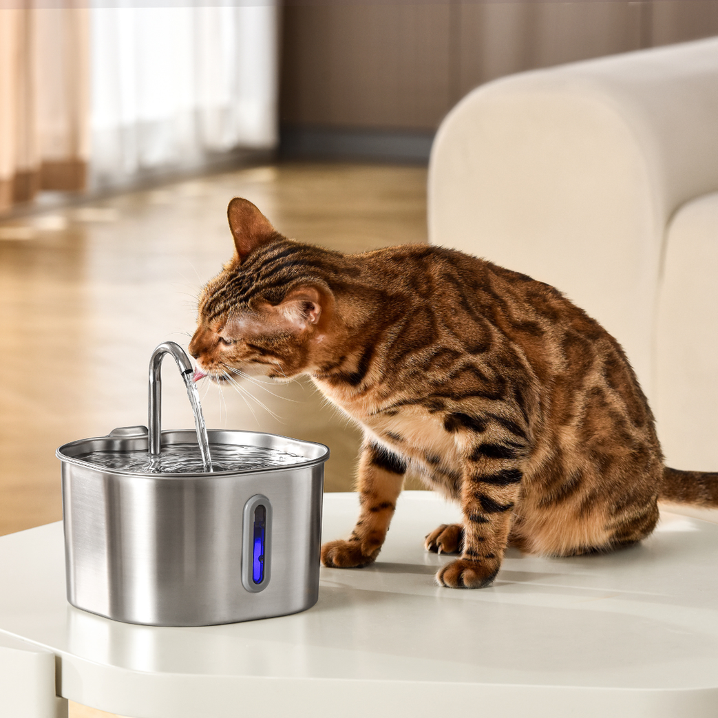 The KittySpout™ - 2.2L Purrrfect KittySpout Kit