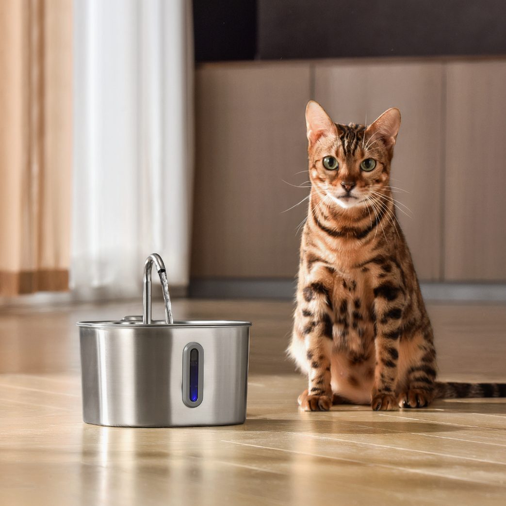 The KittySpout™ - 2.2L Purrrfect KittySpout Kit