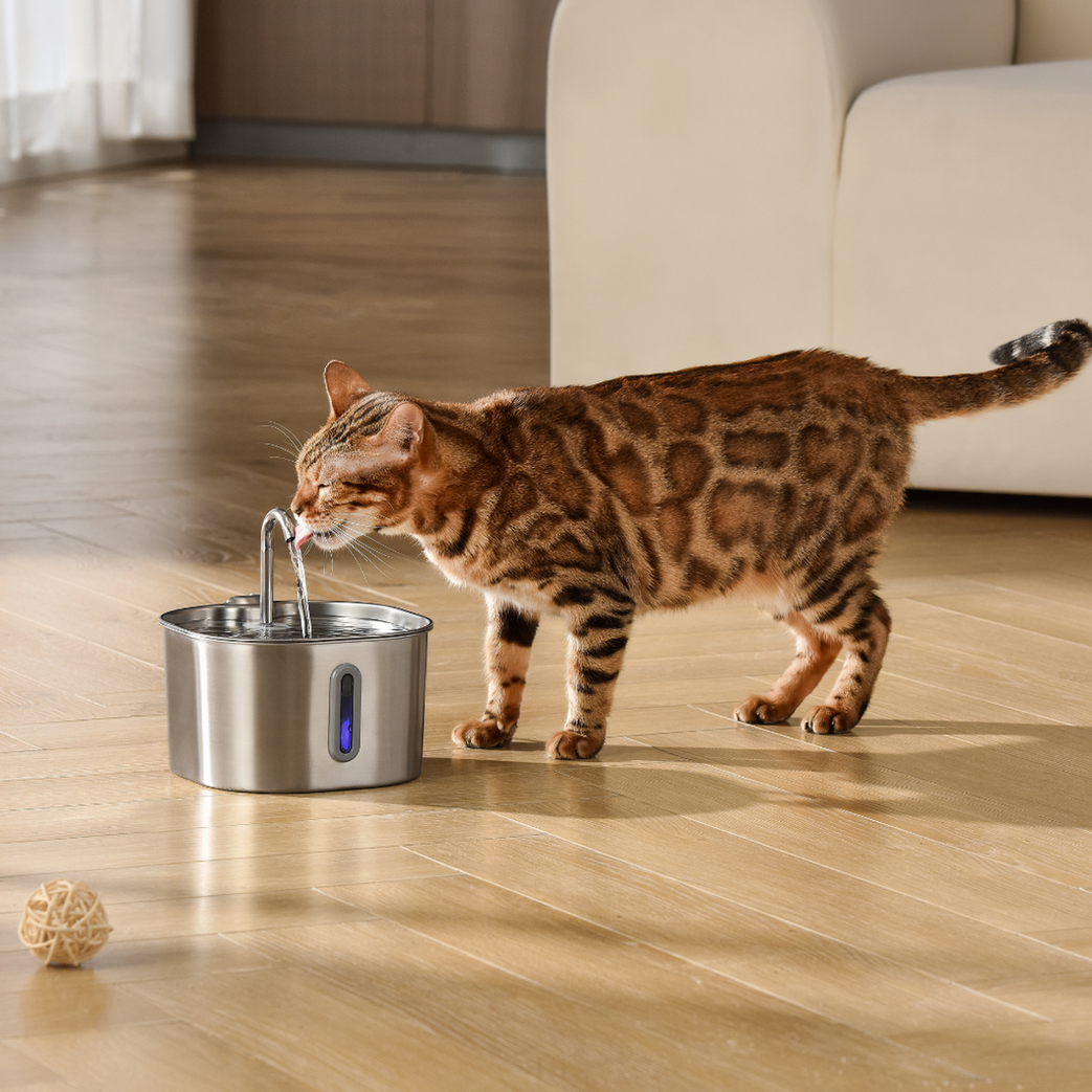 The KittySpout™ - 2.2L Purrrfect KittySpout Kit