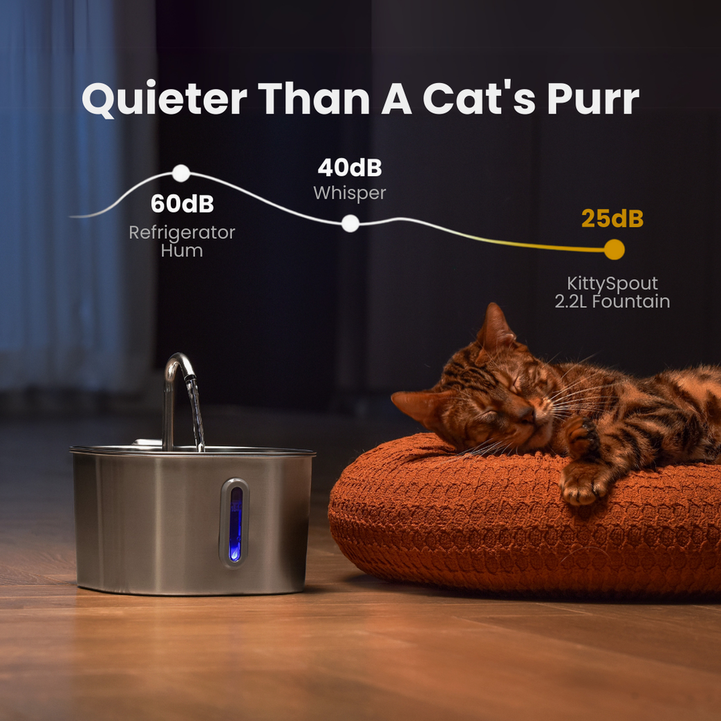 The KittySpout™ - 2.2L Value Bundle