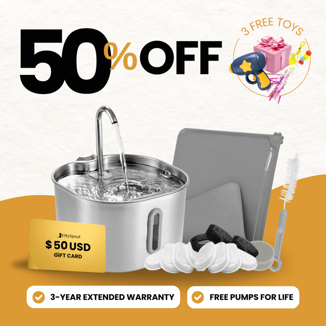 The KittySpout™ - 2.2L VIP Value Bundle