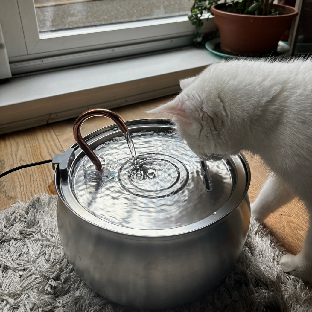 The KittySpout™ - Water Spout