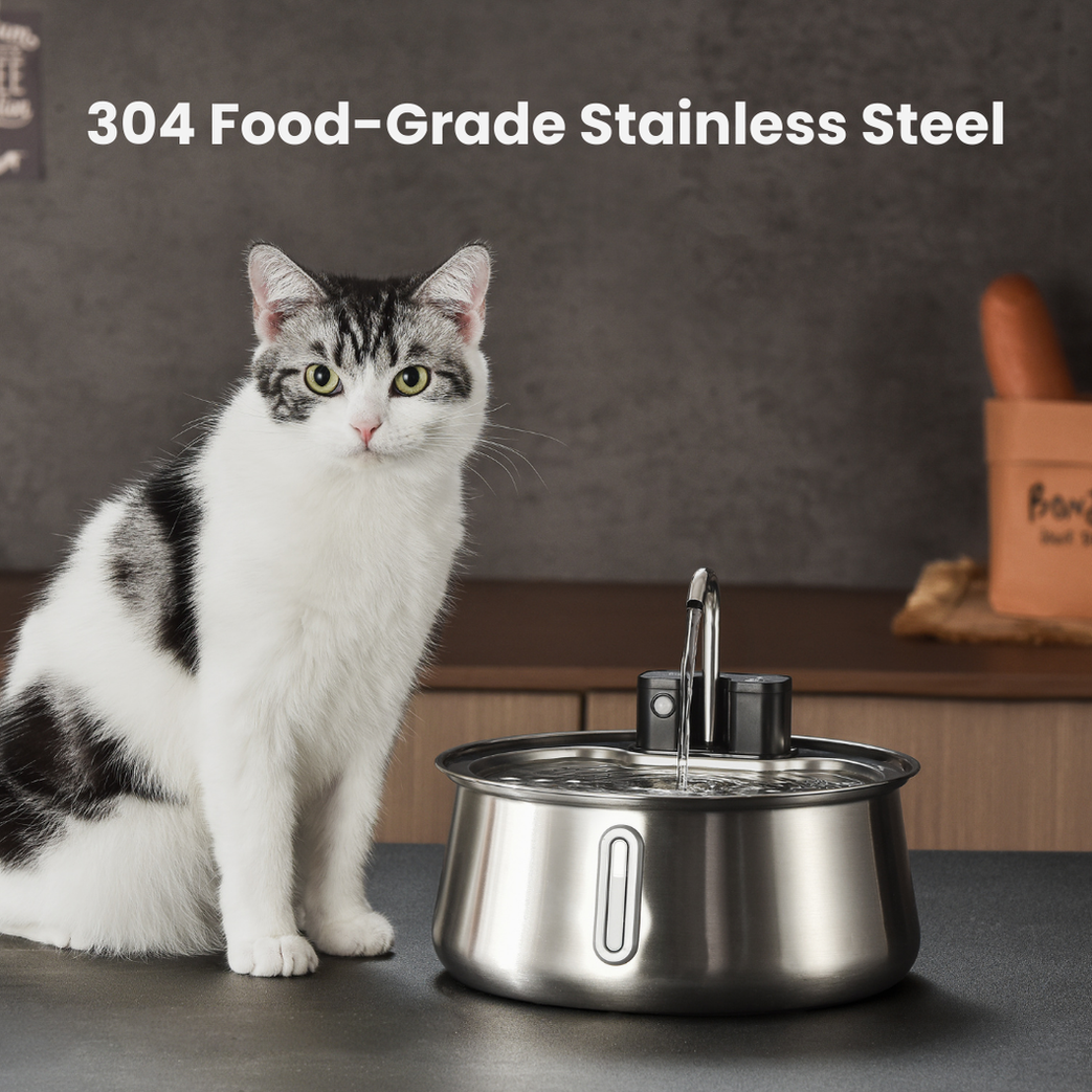 Wireless 2.0 KittySpout Value Bundle