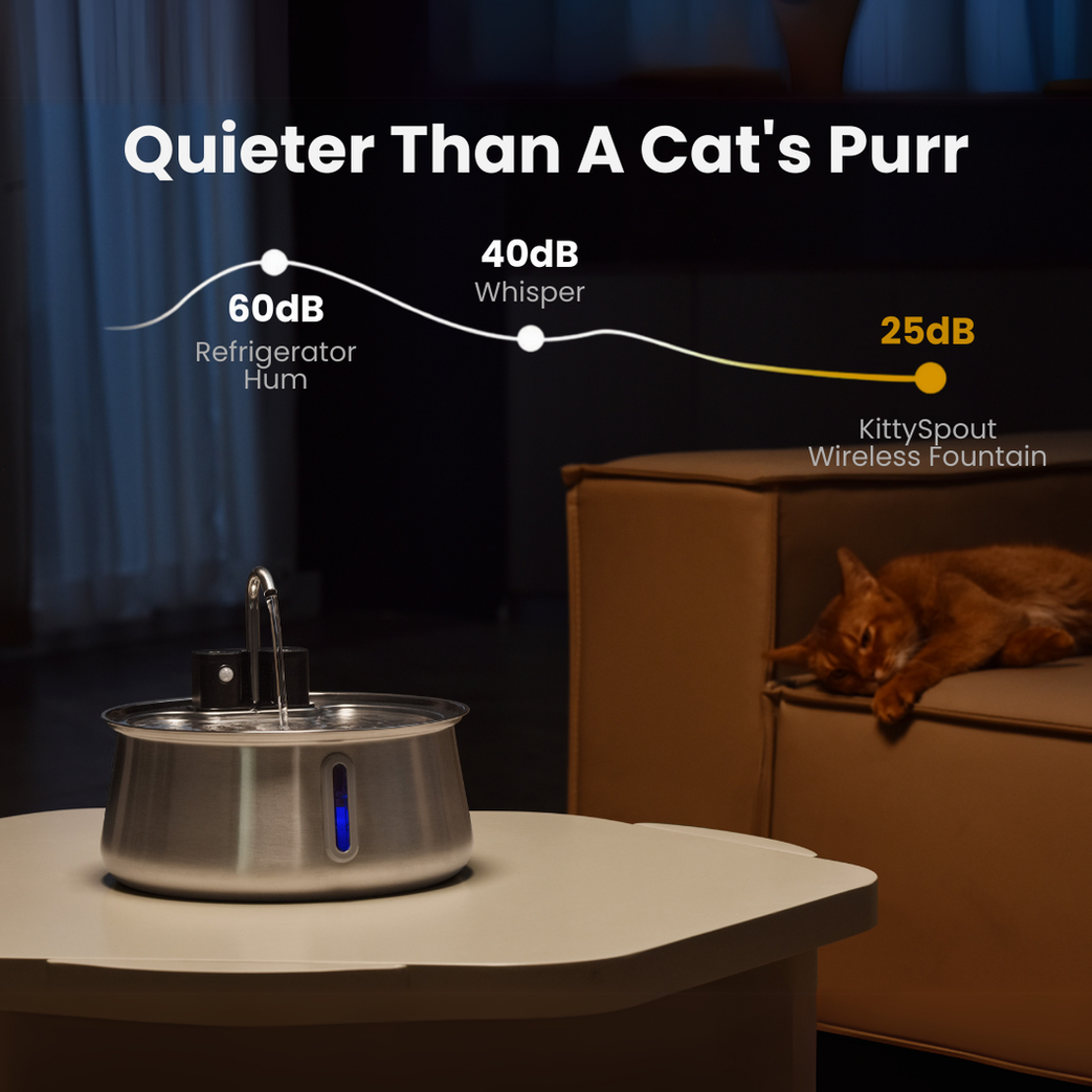 Wireless 2.0 Purrr-fect KittySpout Kit