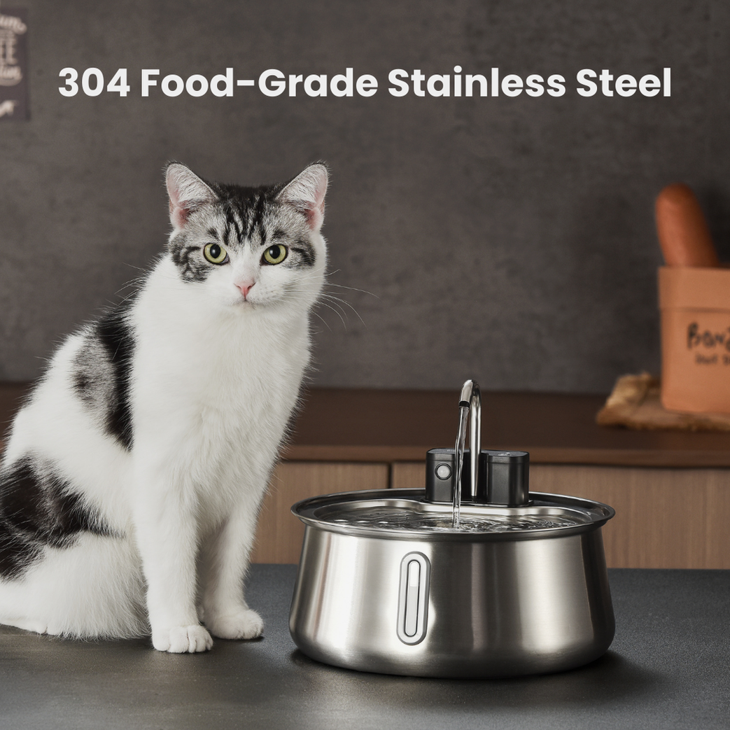 Wireless 2.0 Purrr-fect KittySpout Kit