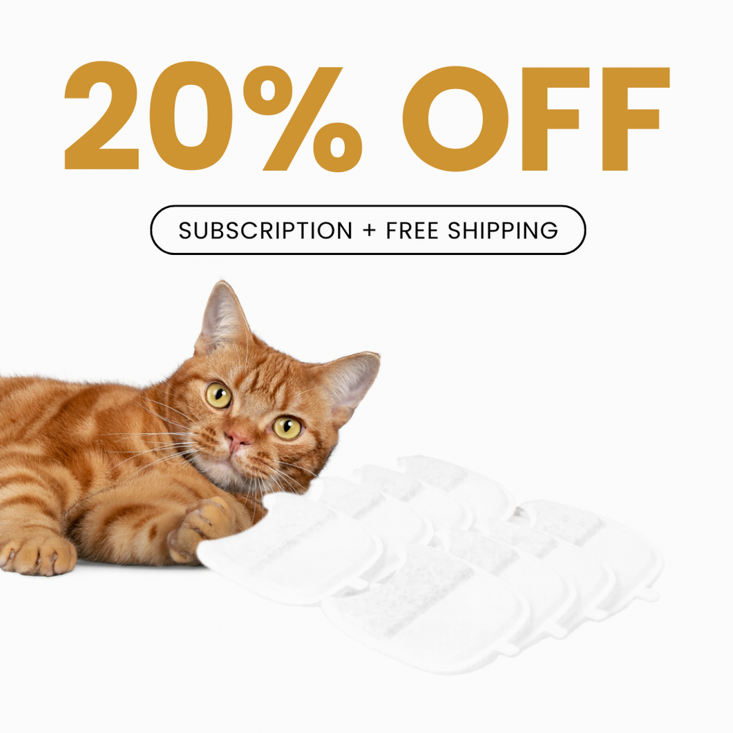 Wireless KittySpout Replacement Filters