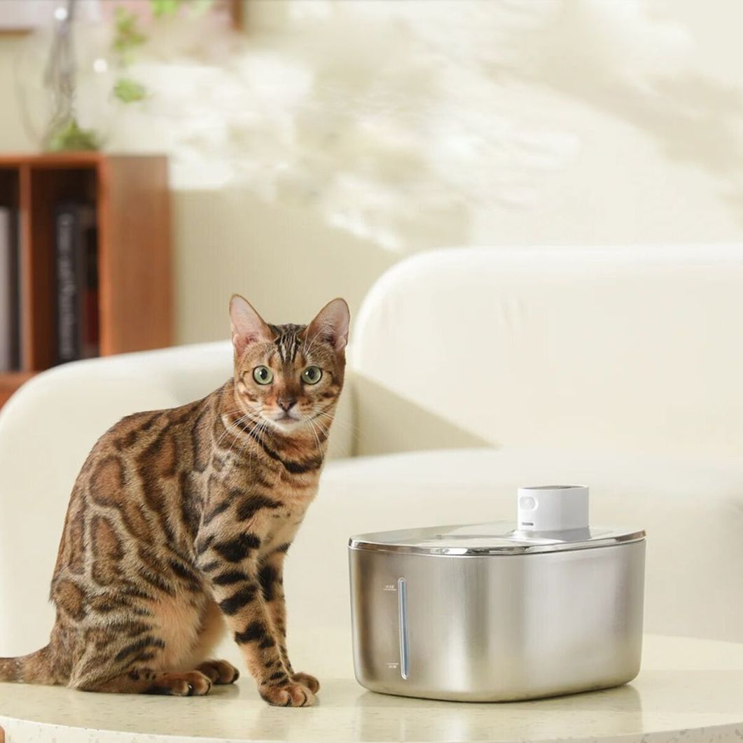 Wireless KittySpout Replacement Filters