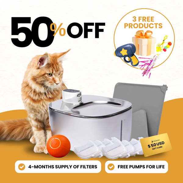 Wireless Hydration & Playtime Value Bundle