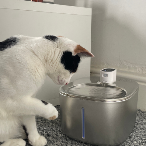 Wireless KittySpout™ - Water Pump