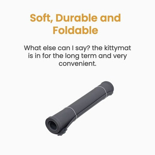 Wireless Purrr-fect KittySpout Kit